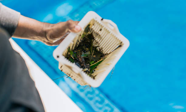 Best Estate Cleanout Services  in Hilton Head Island, SC